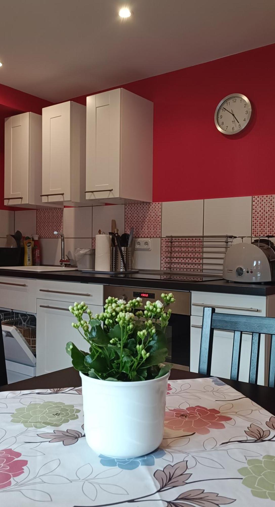Franke Apartment Heilbad Heiligenstadt